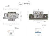 渝北区两路组团S分区_4室2厅4卫 建面167平米